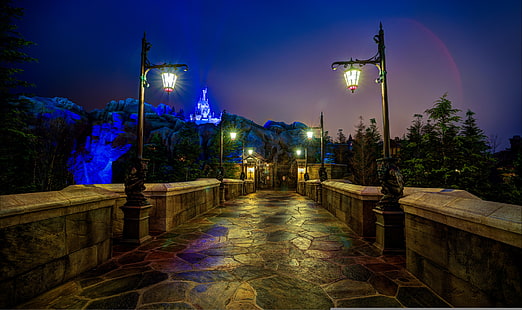 black outdoor lamps, night, castle, FL, lights, USA, Disneyland, Orlando, Walt Disney World, Magic Kingdom, HD wallpaper HD wallpaper