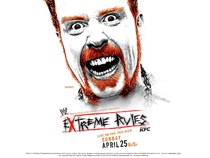 Extreme Avies, wwe, extreme rules, 2015, april, HD wallpaper HD wallpaper