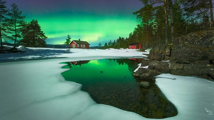 göl, norveç, gece gökyüzünde, gece ışıkları, gökyüzü, donma, yıldızlı gece, aurora borealis, buz, su, manzara, ağaç, yansıma, kış, fenomen, kar, kuzey ışıkları, doğa, HD masaüstü duvar kağıdı