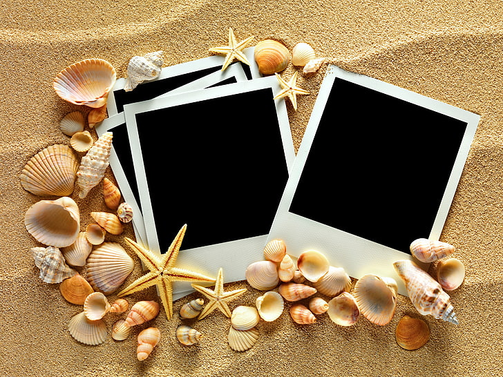 braune und weiße Muscheln, Sand, Muschel, Textur, Muscheln, Seesterne, Fotorahmen, HD-Hintergrundbild