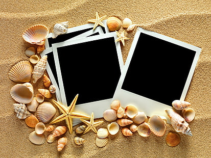 茶色と白の貝殻、砂、貝殻、テクスチャ、貝殻、ヒトデ、フォトフレーム、 HDデスクトップの壁紙 HD wallpaper