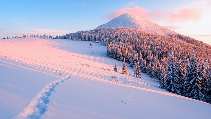 snow, winter, cold, snowy peak, mountains, landscape, forest, HD wallpaper