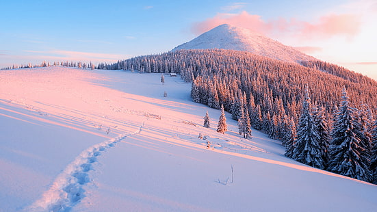 kar, kış, soğuk, karlı tepe, dağlar, manzara, orman, HD masaüstü duvar kağıdı HD wallpaper
