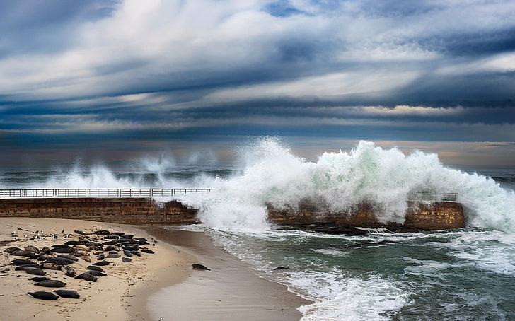 sea, waves, coast, California, HD wallpaper