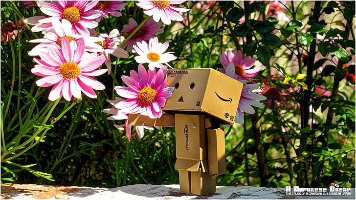 Danbo cardboard toy, Danbo, Amazon, cherry blossom, spring, Japan, Japanese, HD wallpaper