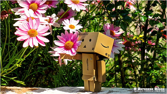 Danbo cardboard toy, Danbo, Amazon, cherry blossom, spring, Japan, Japanese, HD wallpaper HD wallpaper