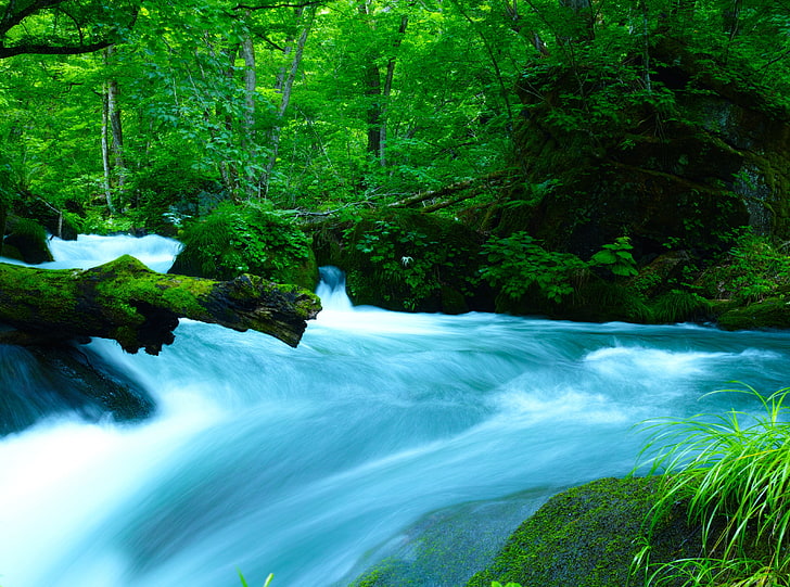 Arroyo de la montaña Oirase, Japón, ilustración de agua que fluye, Asia, Japón, arroyo de montaña, oirase, Fondo de pantalla HD