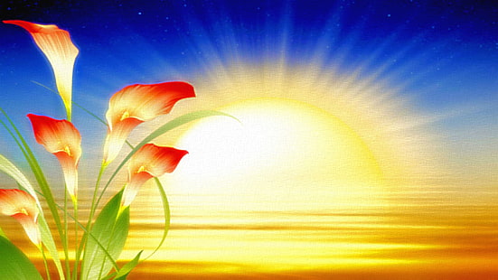  flowers, sun rays, HD wallpaper HD wallpaper
