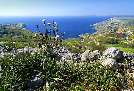sea, the sky, stones, rocks, plant, Bay, Malta, HD wallpaper HD wallpaper