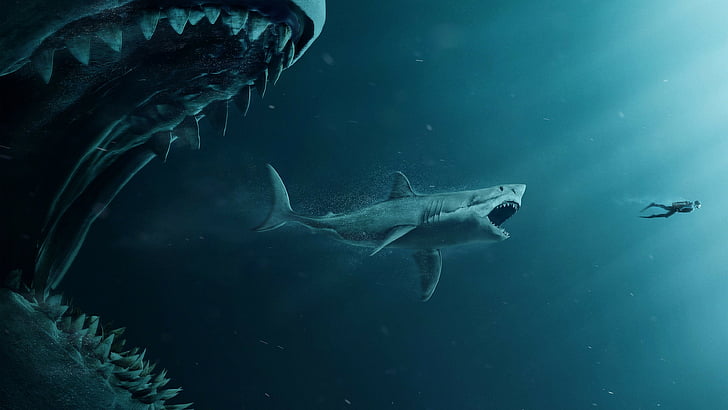 The Meg, shark, diver, 4K, HD wallpaper