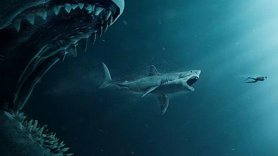 Meg, köpekbalığı, dalgıç, 4K, HD masaüstü duvar kağıdı HD wallpaper