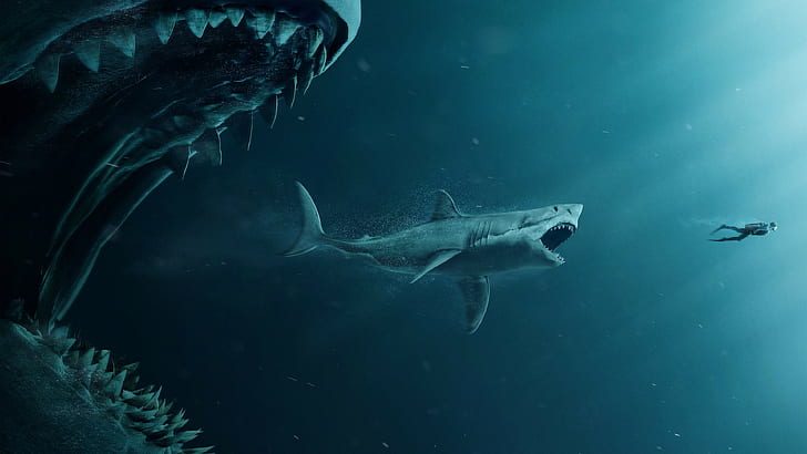 Finding Nemo fondos de pantalla, películas, Finding Nemo, tiburón, póster  de película, Fondo de pantalla HD | Wallpaperbetter
