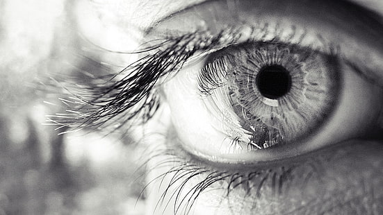 fotografia in scala di grigi di occhio, occhio, ciglia, pupilla, bianco e nero, Sfondo HD HD wallpaper