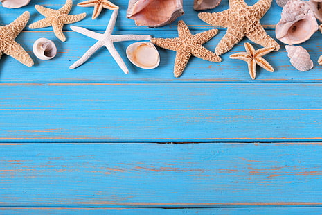  beach, background, Board, star, shell, summer, wood, marine, starfish, seashells, HD wallpaper HD wallpaper