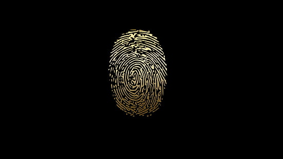 1920x1080 px Biometrics Data Fingerprint Nature närbild HD Art, 1920x1080 px, Biometrics, Data, Fingerprint, HD tapet HD wallpaper