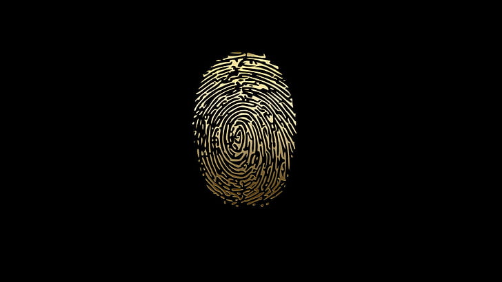 fingerprint data biometrics, HD wallpaper | Wallpaperbetter