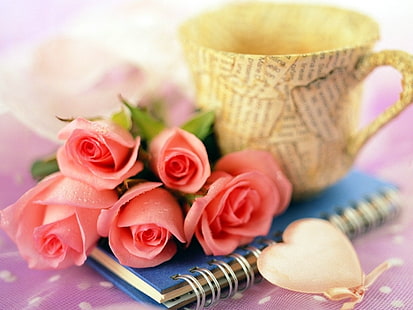 Rose, Flower, Pink, Cups, rose, flower, pink, cups, HD wallpaper HD wallpaper