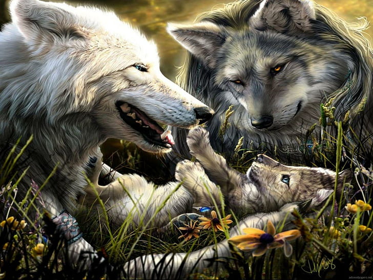 Family Of Wolves, pretty, blissful, playful, peaceful, animals, HD wallpaper