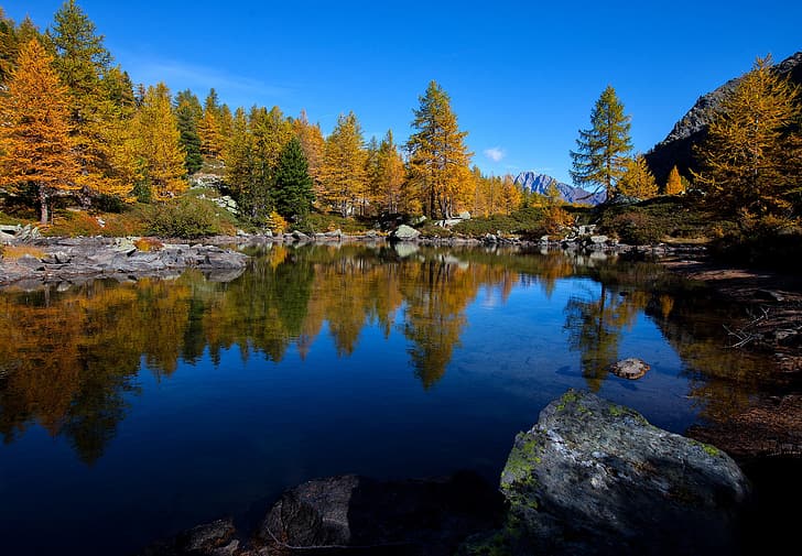 autumn, forest, trees, lake, reflection, stones, Italy, Valle d'aosta, Aosta Valley, HD wallpaper