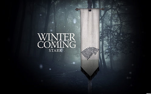 Winter is Coming Stark tapet, Game of Thrones, A Song of Ice and Fire, House Stark, sigils, Winter Is Coming, HD tapet HD wallpaper