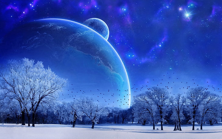 carta da parati luna blu, natura, paesaggio, inverno, cielo, neve, luna piena, alberi, uccelli, sera, Sfondo HD