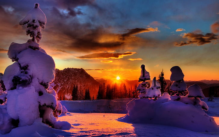 Sunset Musim Dingin, salju, pohon, latar belakang, pemandangan, Wallpaper HD