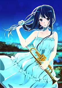 anime, anime girls, Hibike!Euphonium, Kousaka Reina, robe, robe d'été, cheveux longs, cheveux bleus, yeux bleus, Fond d'écran HD HD wallpaper