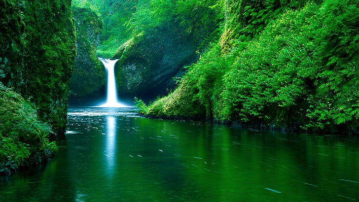 природа, пейзаж, зелень, река, лес, водопад, вода, растения, HD обои