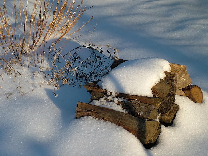 śnieg na brązowym drewnie opałowym, drewno opałowe, śnieg, zima, Tapety HD