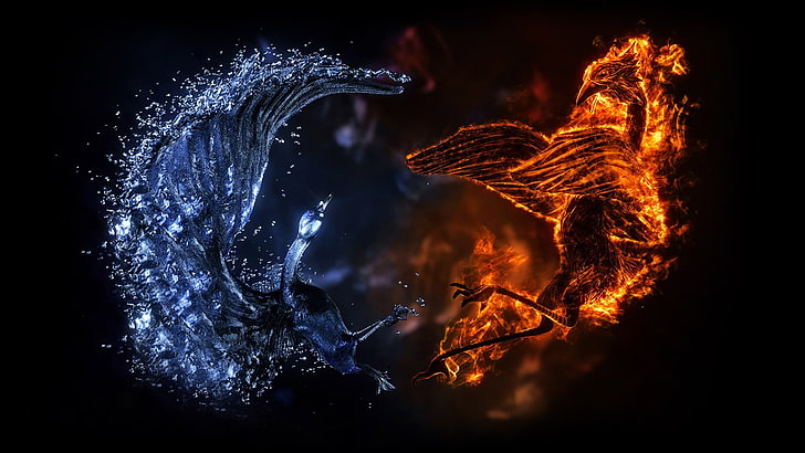 water and fire illustration, digital art, fire, ice, birds, HD wallpaper