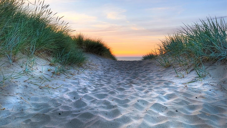 zachód słońca, piasek, piasek, trawa, brzeg, biały piasek, plaża, wydma, Tapety HD