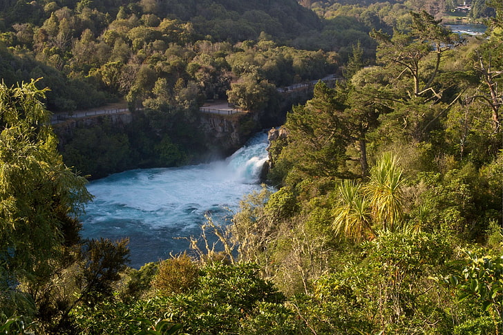 青い水、ブッシュ、フカ滝、タウポ湖、ニュージーランド、北島、川、風景、タウポ、滝、 HDデスクトップの壁紙