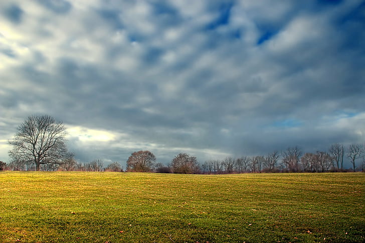 bare trees under cloudy sky, Field, bare trees, cloudy, sky, Pennsylvania, Northampton County, Louise, Moore County, County Park, Moore Park, Lehigh Valley, clouds, stratocumulus, altocumulus, weather, autumn, creative commons, nature, tree, grass, meadow, rural Scene, landscape, outdoors, season, scenics, HD wallpaper