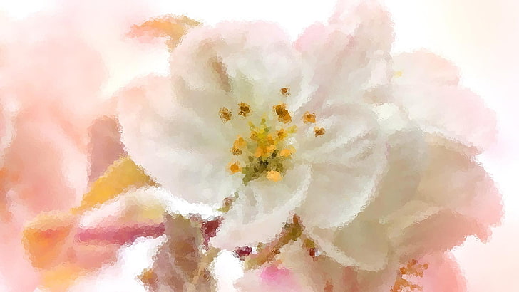 lukisan, seni digital, bunga, buram, bunga putih, mekar, apel mekar, bunga apel, musim semi, Wallpaper HD