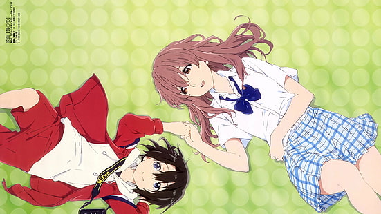 Anime, Koe No Katachi, Uma Voz Silenciosa, Shouko Nishimiya, Yuzuru Nishimiya, HD papel de parede HD wallpaper