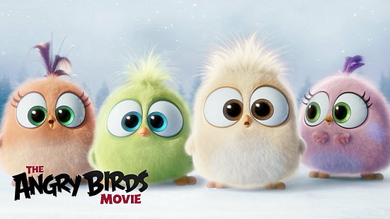 Angry Birds, La película Angry Birds, Fondo de pantalla HD HD wallpaper