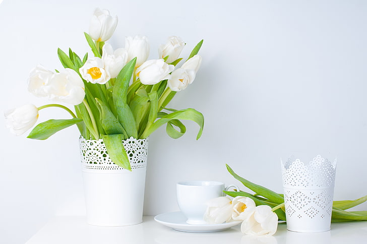 white tulip centerpiece, leaves, flowers, spring, Cup, tulips, vase, white, saucer, HD wallpaper