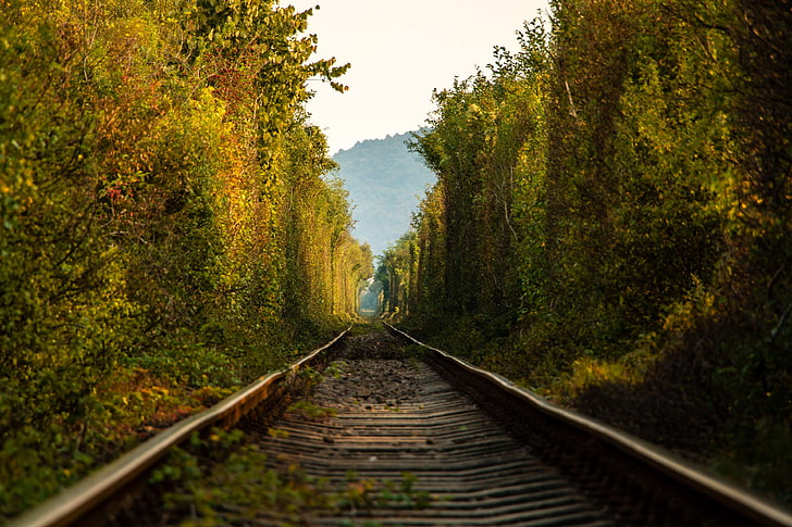 nature, nature photography, rails, train, tunnel, tunnel view, HD wallpaper