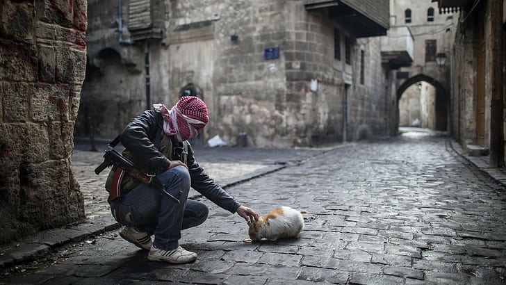 pistol perang jalan kucing aleppo syria, Wallpaper HD