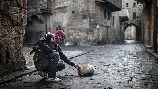 savaş kedisi sokak silahı Halep Suriye, HD masaüstü duvar kağıdı HD wallpaper