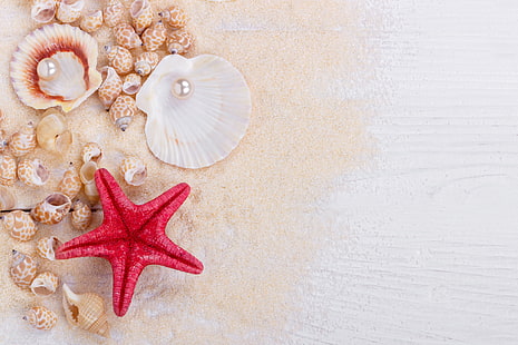 песок, ракушка, дерево, морской, натюрморт, жемчуг, морская звезда, ракушки, перл, HD обои HD wallpaper