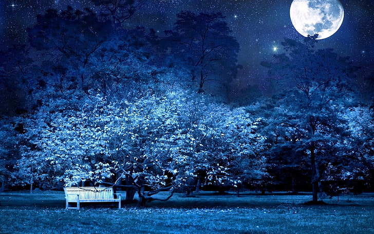 Blue nature trees night moon bench digital art parks 1920x1200 Space Moons  HD Art, HD wallpaper | Wallpaperbetter