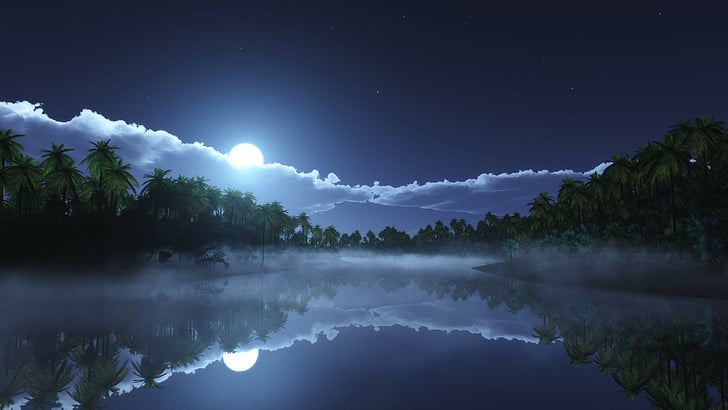 водоем с туманом в ночное время, река, 4k, HD обои, море, пальмы, ночь, луна, облака, HD обои