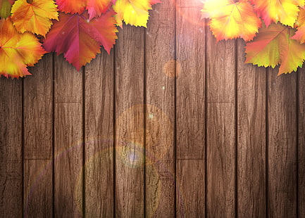 коричневая деревянная паллетная доска и красные и желтые листья обои, фон, дерево, разноцветные, дерево, текстура, осень, листья, осенние листья, HD обои HD wallpaper
