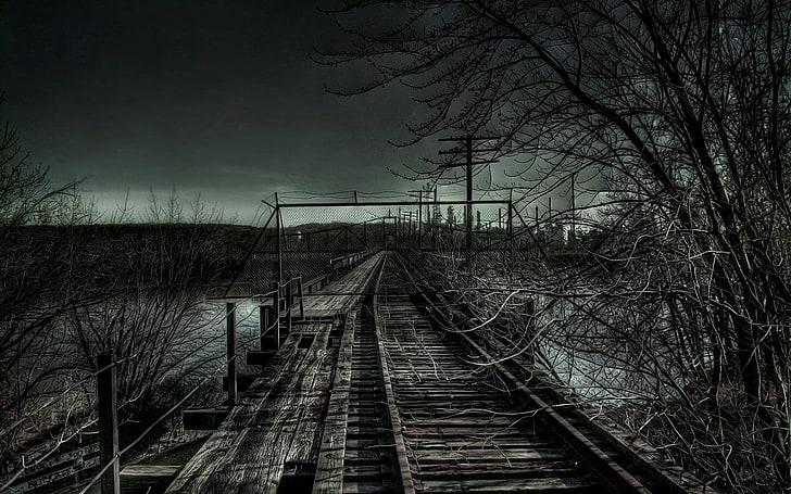 brown wooden railway, rails, railway, bushes, gloomy, dullness, HD wallpaper