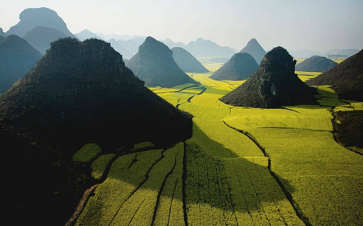 photography, nature, landscape, rice paddy, field, mountains, Vietnam, HD wallpaper