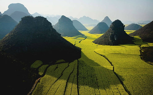 фотография, природа, пейзаж, оризови полета, поле, планини, Виетнам, HD тапет HD wallpaper