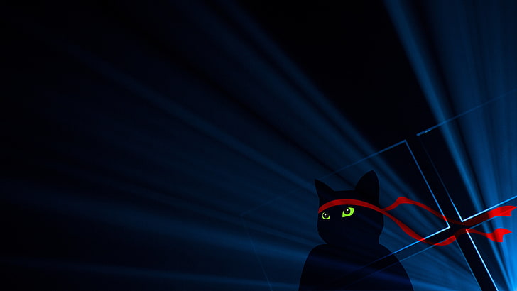 4K, Anniversary update, Dark, Ninja Cat, Windows 10, HD wallpaper |  Wallpaperbetter