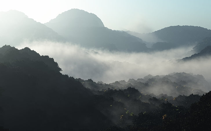 гора, покрита с мъгли през деня, гора, планини, природа, HD тапет