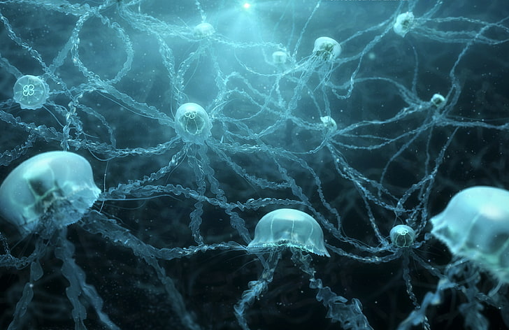 Neuron, Bawah Air, Ubur-ubur, 4K, Wallpaper HD